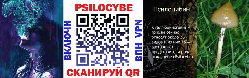сайты даркнета как зайти  Кандалакша  Галлюциногенные грибы Psilocybe  кракен как войти 
